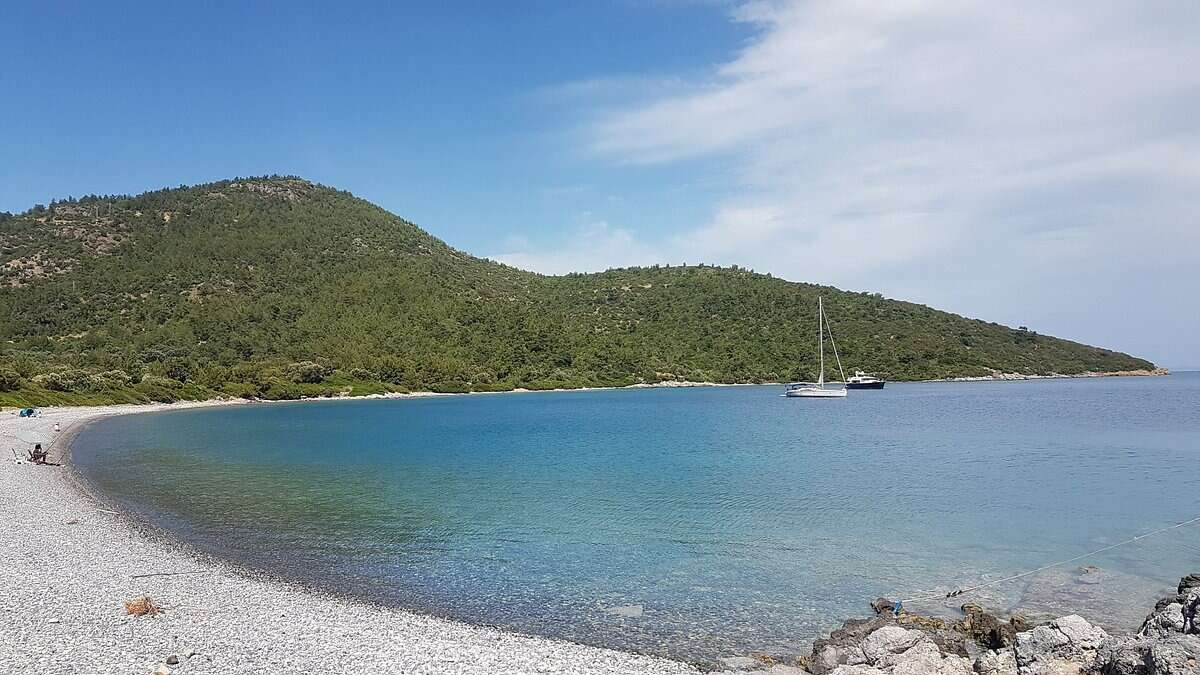 Turizm Cenneti Bodrum'da 126,5 Milyon TL Değerinde Zeytinli Tarla Mahkemeden Satışa Çıkarıldı 5